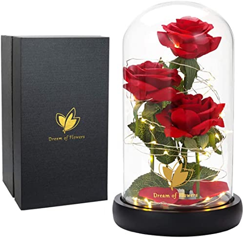 Mothers Day Mom Gifts for Mom,Beauty and The Beast Rose Light Up in Glass Dome,Preserved Flowers Prime Delivery Flowers Gifts,Birthday Gifts for Women Girlfriend Wife Anniversary,Valentines,Wedding