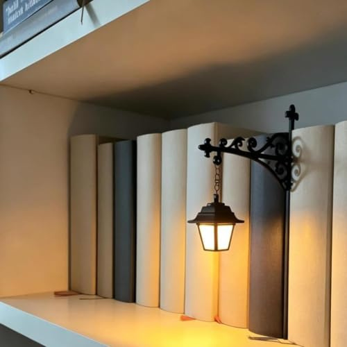 Library Lantern-Decorative Bookshelf Lighting, Mini Bookshelf Lamp, Vintage LED Book Nook Light for Reading Corner, Warm Mini Bookcase Lamp for Desk, Shelf & Home Decor, Gift for Book Lovers (Lantern)
