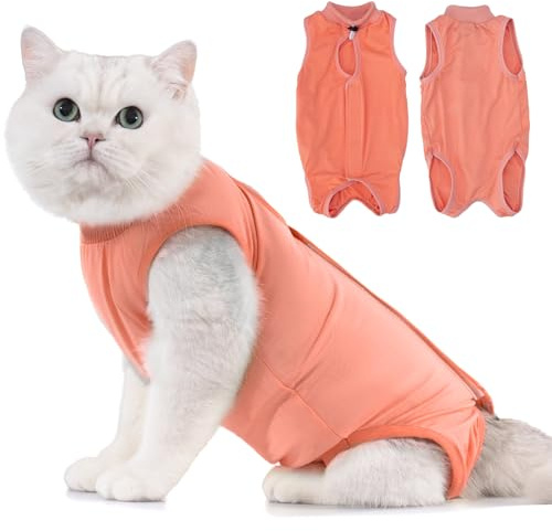 Avont Tuta da Recupero per Gatti, Body Gatto Post Operatorio Sterilizzazione, Cat Recovery Suit, Vestito Gatto per Impedire Leccare Ferita Addominale Dopo l'intervento Chirurgico –Corallo(M)