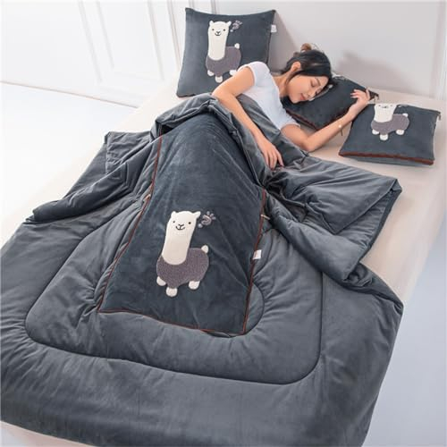 Hixingo Reisedecke und Kissen 2 in 1, Reisedecke mit Kissen Set Multifunktionale Reise Decke und Kissen 2 in 1 Weichem Flugzeug Verwandlungskissen für Urlaub, Camping (Alpaka - Dunkelgrau,50 * 50cm)