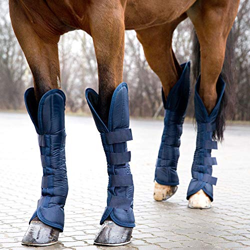 HORZE Transportgamaschen Pferd Mit Klettverschluss, 4-er Set, Gamaschen Für Höchste Sicherheit Beim Transport, Verfügbar In 3 Größen: Pony, Vollblut, Warmblut, Blau, Blau, P