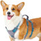 Huntboo Sicherheitsgeschirr Hund Ausbruchsicher, Panikgeschirr für Hunde, Reflektierendes Geschirr Hund mit Griff, Verstellbare Hundegeschirr für kleine, mittelgroße und große Hunde (Blaugrün,M)