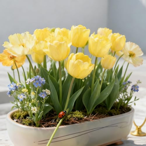 Tulipanes Bulbos/Tulipán/Tulipán perenne-Que crece exuberantemente en el jardín/Perfectos para patios y balcones.-10 Rhizomes-D