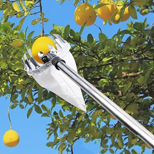 Yesbon Cueille Fruit Telescopique, Cueilleur de Fruits Télescopique, Pôle de Cueillette de Fruits, Cueilleur De Cerises, Métal Cueille-Fruits avec Sac de Collecte Outils de Jardin,B,6m/19.7ft