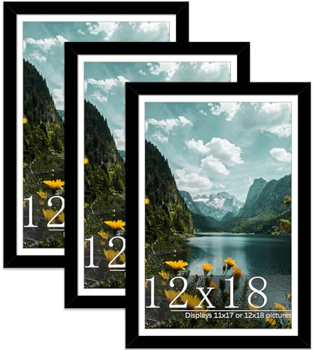 Picrit 12x18 Picture Frame 3 Pack, Black Poster Frame, Display Poster 11 x 17 with Mat or 12 x 18 without Mat for Horizontal or Vertical Wall Mounting