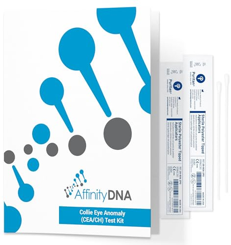 AffinityDNA Dog Collie Eye Anomaly Choroïde Hypoplasia (CEA/CH) Test ADN | Kit de prélèvement d'échantillons à domicile pour 1 chien | Résultats en 7 jours ouvrables | Un kit complet sans frais