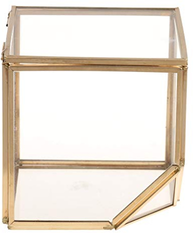Backbayia Vase de Bonsaï Boîte Maison Serre en Verre pour Bijoux Collier Boucles d'oreilles (L)