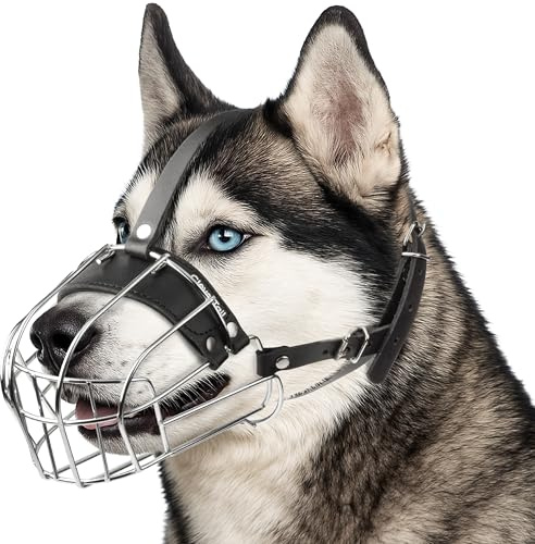 CleverTail Museruola Husky in metallo per cani di taglia grande - Museruola per cani con cinghie regolabili in pelle - Museruola in acciaio per evitare morsi e mangiare - paradenti per cani di taglia