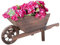 spot on dealz® Wheelbarrow Planter Wooden Planters for Garden Burntwood Large Planters Outdoor with Rotating Wheel Ornament Flower Pots and Planting Decor