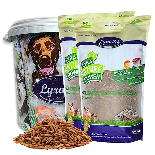 Lyra Pet® | 5 kg Soldatenfliegenlarven + 30 L Tonne | Black Soldier Fly | Hermetia Illucens | Wie Mehlwürmer | Reich an Kalzium & Proteinen | Energiereiches Futter für Vögel, Fische, Nager & Reptilien