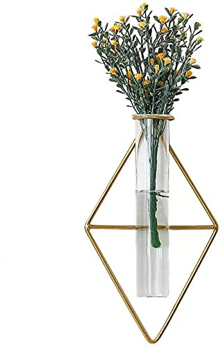 yaocoral Jarrón de pared nórdico, jarrón geométrico, florero de pared colgante hidropónico, jarrón de vidrio, jarrón de metal dorado decorativo para flores, pared, hogar, nevera, ventana (oro 2)