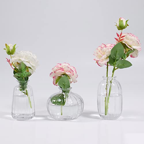 Glass Bud Vase Set of 3, Decorative Small Vase for Table Living Room Bedroom Home Office Kitchen Decor, Transparent