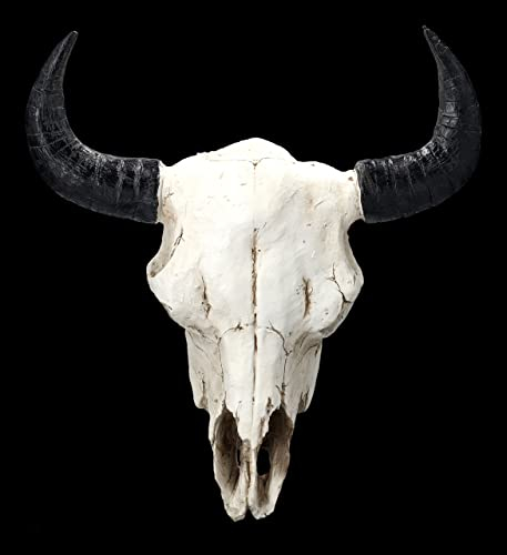 Wanddeko Bison Totenkopf 31 cm Wand Relief mit Hörnern | Trophäe Kopf Rind Longhorn Hörner Bulle Skulptur Figur