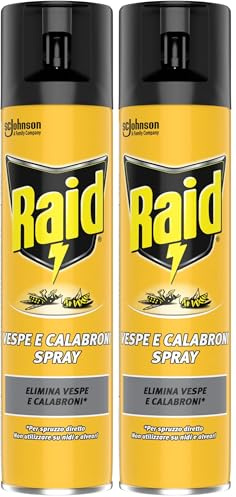 Raid Insetticida Spray Elimina Vespe e Calabroni, per Uso Interno, Azione Rapida per Spruzzo Diretto, 1 Confezione da 800ml