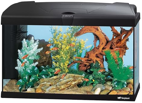 Hydor Acuario 60 litros para Peces Tropicales o de Agua Dulce, Incluye: Lámpara LED, Filtro Interno 2 Etapas para Agua cristalina, Calentador, 60 x 31,5 x h 39,5 cm Negro