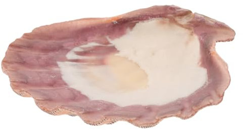 VOSAREA Vide-poches Coquillage Organisateur Plateau à Bijoux Coquillage Naturel Porte-bagues Et Coupelles De Rangement Décoration Intérieure