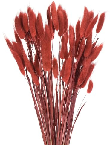 QUARKZMAN 60pz Coda di Coniglio Naturale Fiori Secchi 43cm Mini Erba di Pampa per Decorazioni Floreali Matrimonio Natale, Rosso