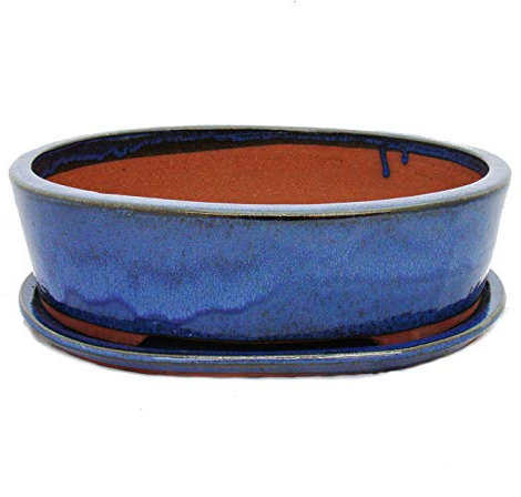 Exotenherz - Bonsai-Schale mit Unterteller Gr. 5 - oval O1 - blau - L 31cm - B 24cm - H 9cm
