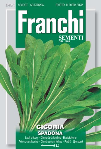 Franchi Chicory Spadona