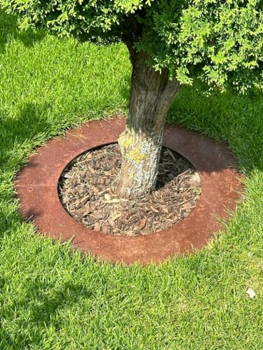 Rasenkanten Baumring FLACH aus Cortenstahl Ø 50/80 cm Mähroboter Mähkante für Bäume und Sträucher