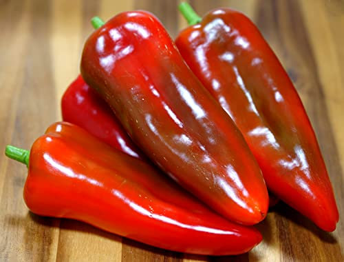 Bullhorn Paprika – Süßer Spitzpaprika mit hohem Ertrag - 30 Samen