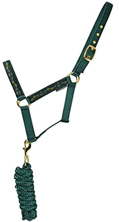 Hy Elegant Stirrup And Bit Horse Headcollar and Leadrope (Full) (Forest Green/Gold/Silver)