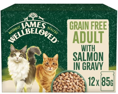 James Wellbeloved Grain Free Adult Dog Food with Salmon in Gravy Pouch 12 x 90 g