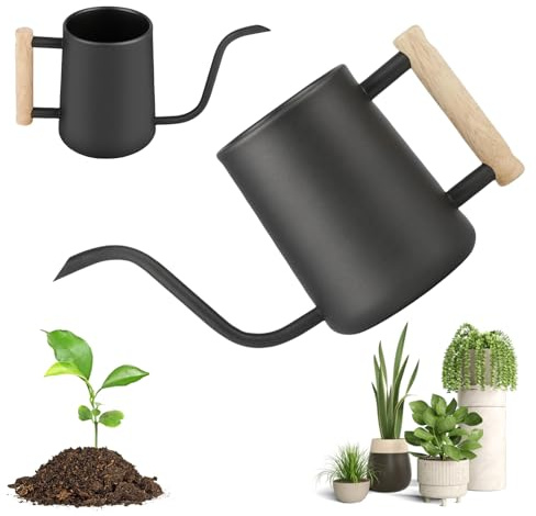Regadera de 1 litro, 35 oz para plantas de interior: LEKEFETO Regadera pequeña de acero inoxidable con cómodo mango de madera y pico largo y fino, regadera interior para plantas de interior, bonsái