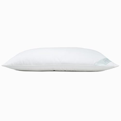 Lancashire Textiles Quilted Bamboo Pillows - Hypoallergenic, Organic Bamboo and Cotton Cover Blend, 300 TC, Thermal Regulating, Soft Bedding for a Perfect Night's Sleep - 48cm x 74cm (19 x 29)