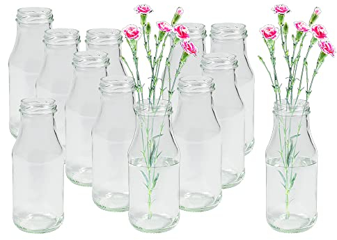 12 Stück Runde Mini Vasen Typ 263 Glasfläschchen kleine Dekoflaschen Flasche Väschen Vase Glasflaschen Blumenvase (12 Stück)
