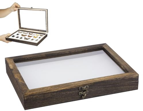 ERINGOGO Caja Expositora De Muestras De Insectos De Madera Con Tapete 12.20X8.66X1.57In Vitrina Para Colecciones De Entomología Con Tapa Transparente Para Exhibición Y Observación
