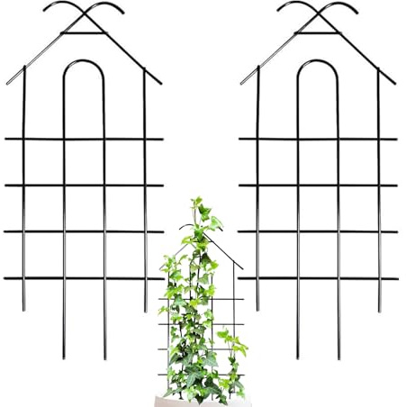 Trädgårdsspalié För Klättrande Växter 2 Stycken Fruktstöd | 52 cm Hög Vinspaljé För Inomhus Dörröppning Grind Gurka Vinranka Ros Monstera Pothos