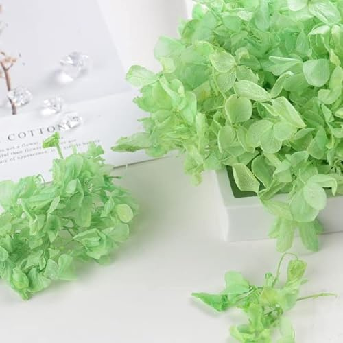 LEEYOX 15 g/Borsa Ortensia Fiore Secco Pianta Naturale Conservato Foglie di Fiori Freschi per Artigianato Fai da Te Decorazione Fiori Eterni Materiale