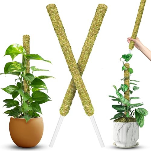 DUSPRO Palo di muschio impilabile per piante Monstera, pali per piante da interno, bastoncini di muschio grandi estensibili, ideali per piante rampicanti in vaso, supporto per interni (2 pezzi