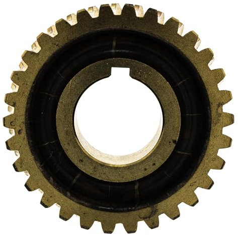 MTD Parte di Ricambio Mach Worm Gear