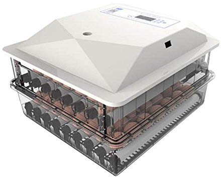 Fayelong 56 Eier Vollautomatischer Inkubator Brutapparat Digitale Eier Geflügel Brutmaschine Brutkasten Flächenbrüter mit Automatischer Temperatur- und Luftfeuchtigkeitskontrolle Automatisches Drehen