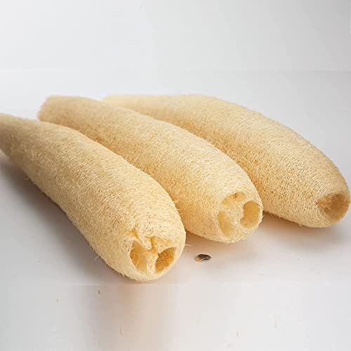 Alminionary Éponges en luffa naturel pour homme ou femme pour la douche ou le nettoyage d'ustensiles de cuisine (longues éponges en luffa naturel)