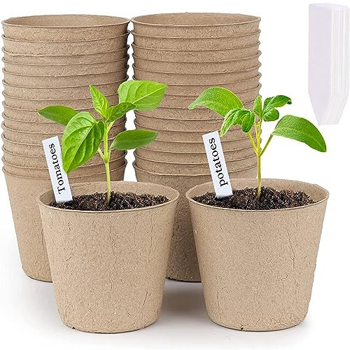 hzpolang 50 Pcs Fibre Plant Pots Round Seedling Pots Planting Cups with 50 Pcs Plastic Labels for Growing Vegetables Flower Fruit Herb Cuttings Garden Transplant Plants (8CM)