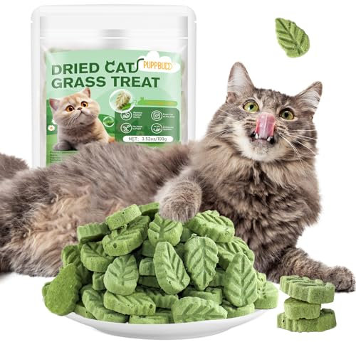 Katzengras Snacks, Gefriergetrocknet Katzengras für Katzen, 100g Katzengras Fertig Gewachsen für die Zahnpflege, Katzengras Sticks Haarknäuel Entfernen
