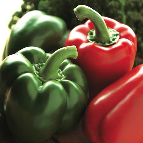 Suttons - Pepper Sweet Seeds - Californian Wonder