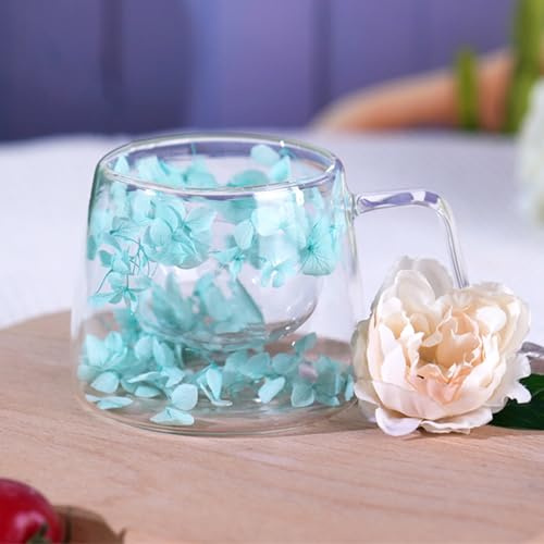 Richaa torkade blommor dubbelväggiga glas med handtag 200 ml latte macchiato glas cappuccino koppar kaffemugg originella gåvor kaffeglas