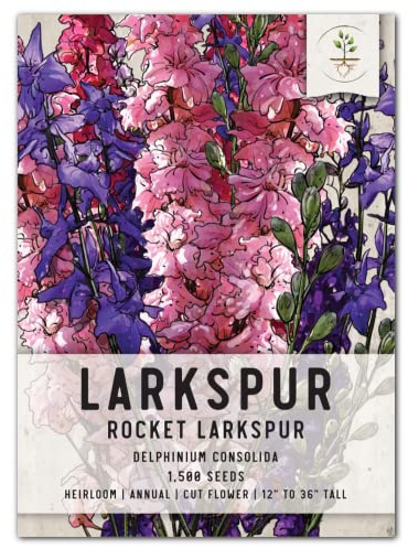 Seed Needs, Rocket Larkspur Seeds - 1,500 Seeds for Planting Delphinium consolida - Heirloom, Untreated & Open Pollinated - Beautiful Blooms in Pink, Blue, White & Indigo (1 Pack)