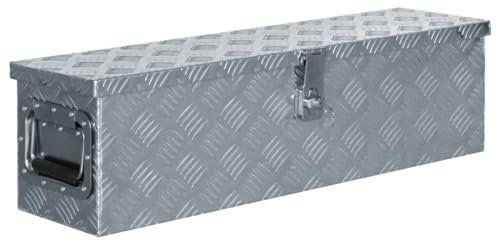 vidaXL Caja de Aluminio 80,5x22x22 cm Plateada Bricolaje Taller Herramientas