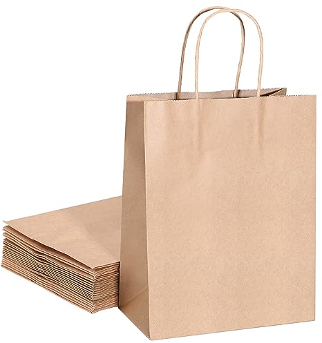 GWHOLE 20 Stück Papiertüten Weihnachten Geschenktüten Verpackungstüten Kraftpapiertüten Klein mit Henkel Geschenk Papier Braun Tüten Papiertragetaschen Papiertaschen für Geburtstag Hochzeit