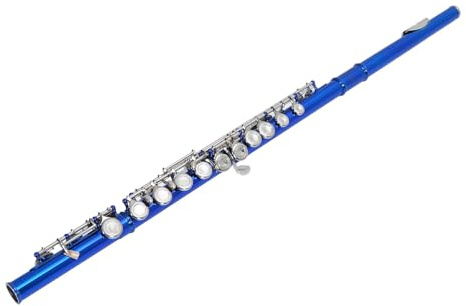 C Flute Cupronickel Stängt Hål 16 Hål Flöjt för Nybörjare och Student Bright Flute With Tuing Rod Cleaning Kit Portable Bag Gloves
