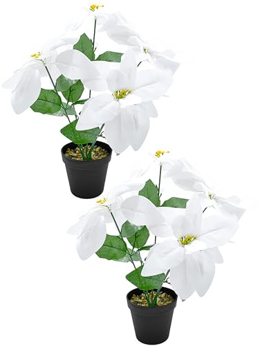 Stephans Möbelbörse 2er Set Weihnachtsstern Poinsettie künstlich im Topf Christstern täuschend echte Kunstblume Weihnachtsstern Weihnachten Deko Pflanze 35cm weiß