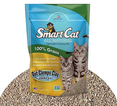 SmartCat All Natural Clumping Cat Litter, 10 Pound (160oz 1 Pack) - Alternative to Clay and Pellet Litter - Chemical and 99% Dust Free - Unscented and Lightweight