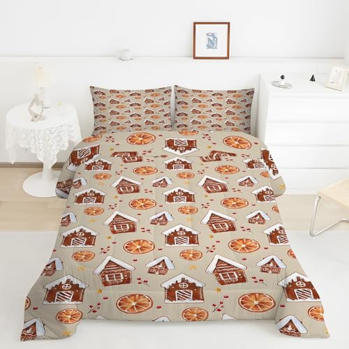 Generico Piumino Matrimoniale Biscotto Trapunte Casa Piumone Imbottito Resistente Lavabile, Super Morbida Trapunta, piumini 200x200 cm in Microfibra Reversibile e 2 Federa 50x80 cmY526