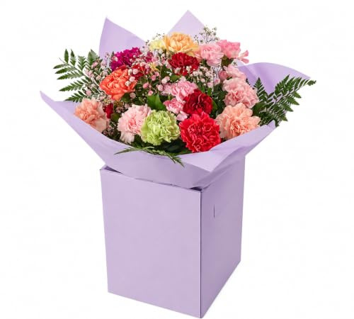 Sweet Candy Carnation Bouquet, Hand-Tied, Mixed Colours | Colourful Fresh Cut Floral Arrangement for Mum, Birthday Surprise, Get Well Soon, Thank You Gift, Sympathy