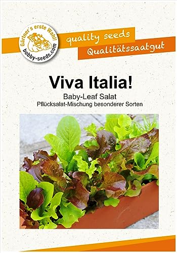 Salatsamen Viva Italia! Babyleaf Pflücksalatsamen Mischung Portion